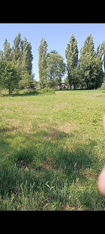Недвижимость: 19 соток, Для сельского хозяйства, Красная книга — 6