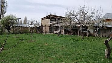 жер участок: Продаем большой дом в селе Курменты Тюпского района Иссык-Кульской — 7