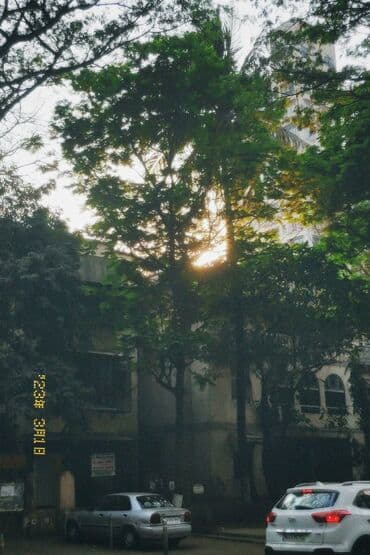 Упаковщица