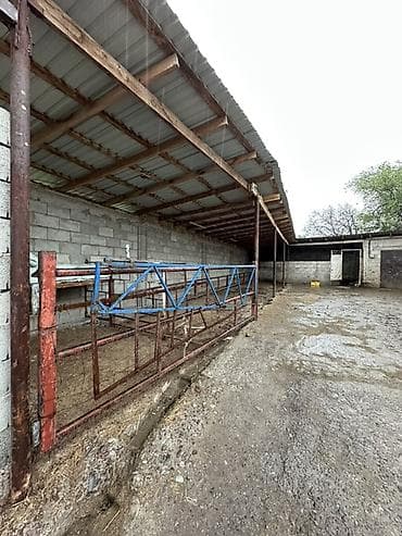 8 мкр: 📍В Сокулуке ( верхняя зона ) продаётся действующий убойный цех — 4