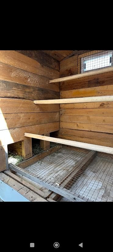 гнездо для кур: Беседка Дерево — 7