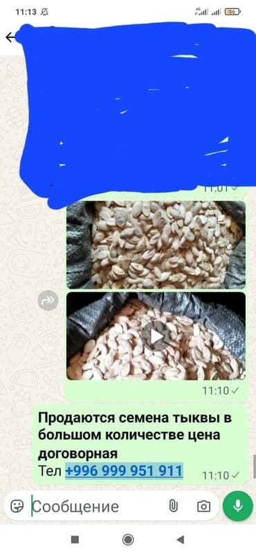 Тыквенные семечки, очищенные от мякоти, расфасованы в большие мешки