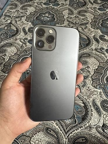 iphone 2g: IPhone 12 Pro Max, 256 ГБ, Графит — 1