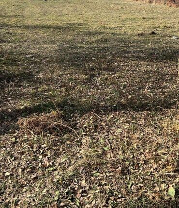 продажа садовых участков: 10 соток, Для строительства, Красная книга — 3