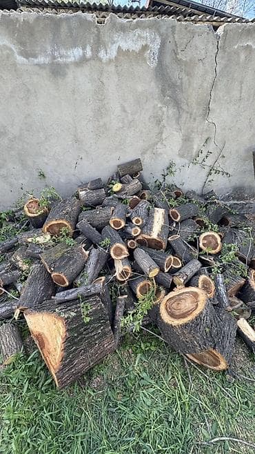 кукурузные стебли: Дрова Самовывоз — 1