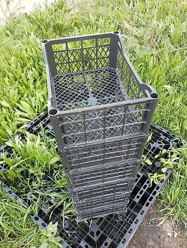 Ящики: Пластиковый Ящик, Б/у — 4