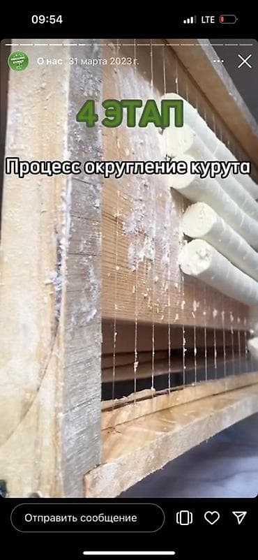 кымызолечение: Сушёный курут (традиционный кисломолочный продукт) - Натуральный — 4