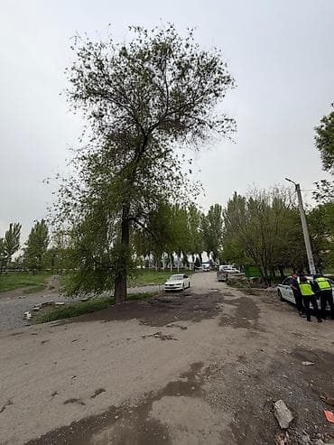 сдаю квартира фучика: Студия, 32 м² — 9