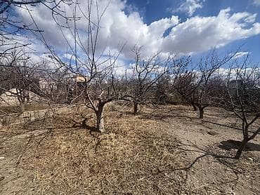 купить вагон дом бу: 4500 соток, Для сельского хозяйства, Договор купли-продажи, Тех паспорт — 5