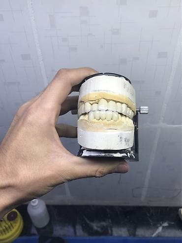 Швейное дело: Зуботехнические работы: изготовление несъёмных ортопедических — 8