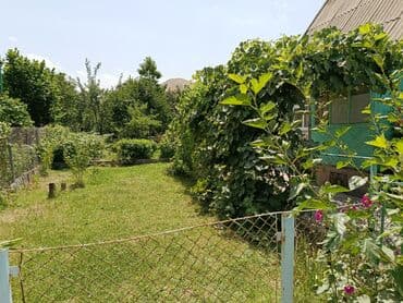 дом из оша: Дача, 35 кв. м, 3 бөлмө, Менчик ээси, Косметикалык оңдоо — 13