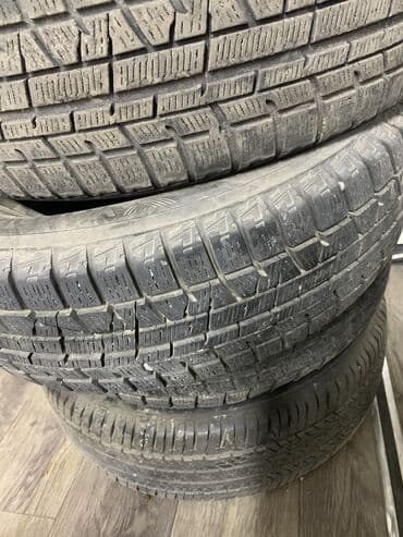 шины на мтз: Шины — 3