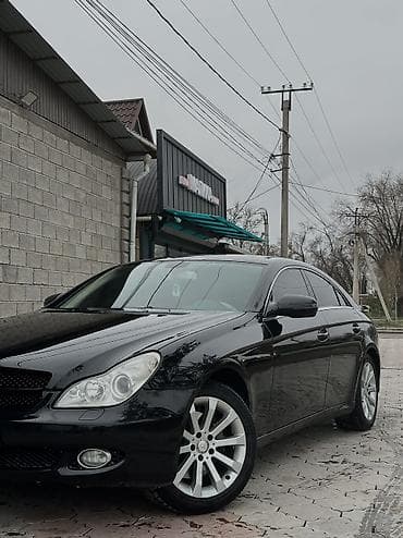 банан водный: Mercedes-Benz CLS-Class: 2008 г., 3 л, Автомат, Бензин, Седан — 4