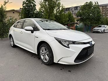 бампер на лупарик: Toyota Levin: 2021 г., 1.8 л, Автомат, Гибрид, Седан — 3