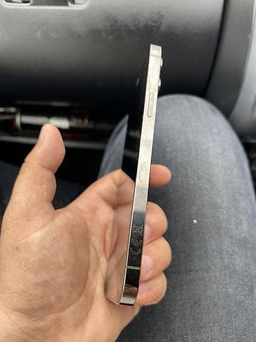 iphone e: IPhone 12 Pro Max, Серебристый — 5