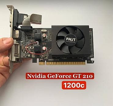 Видеокарта, Б/у, NVidia, GeForce GT, До 2 ГБ, Для ПК at lalafo.kg Видеокарта, Б/у, NVidia, GeForce GT, До 2 ГБ, Для ПК