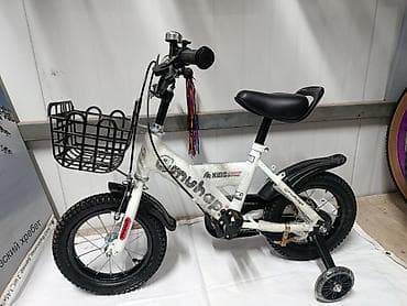 Детский велосипед, 4-колесный, 1 - 3 года, Для мальчика, Новый