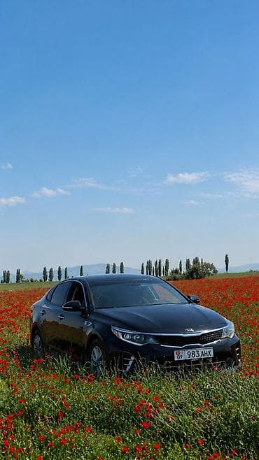 kia optima 2016: Kia Optima: 2016 г., 2.4 л, Автомат, Бензин, Седан — 1
