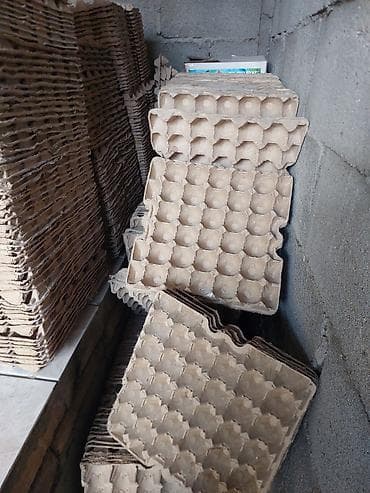 лоток для яиц пластиковый: Поддон Для пищевой промышленности, Б/у, В наличии — 1