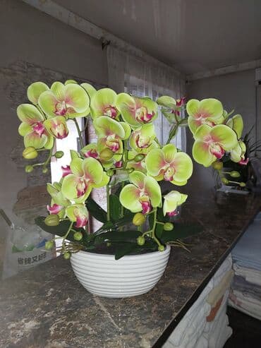 Вазалар: Искусственная композиция орхидей в кашпо. - Реалистичные фаленопсисы — 4