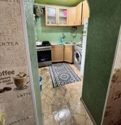 студия дом: 3 бөлмө, 44 кв. м, 1 кабат — 11