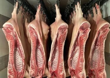 окорочка оптом цена: Свинина : Ребра, Более 10 кг — 1