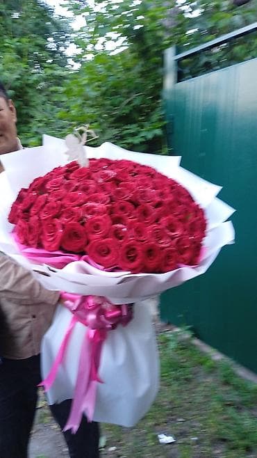 голанские розы: Букеты 101 и 51 Роза от 1900 сом оформление и открытка в подарок🎁 — 2