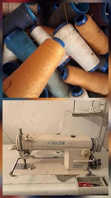 фрукт: Швейная машинка 3500,нитки мешок 500,комнатные цветы от 200 до — 2