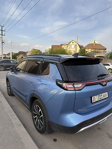 byd plus: Weltmeister W6, 2022 г., 102000 км — 3