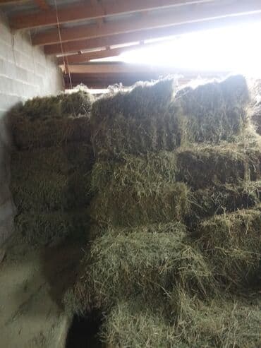 Грызуны: Сено в тюках (кирпичиках), хранится в крытом сухом помещении. Тюки — 1