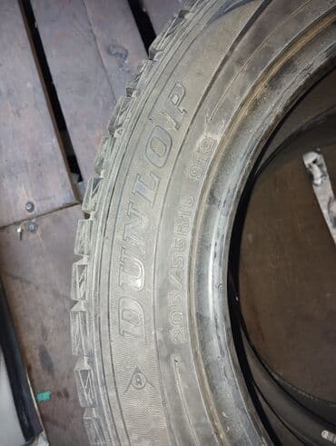 шины 2356516c: Шины 205 / 55 / R 16, Зима, Комплект, Легковые, Dunlop — 2