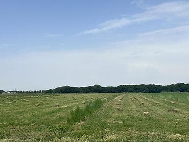 рыбки аквариумы: Сено в тюках (малые прямоугольные) - Кормовое сено из луговых трав — 4
