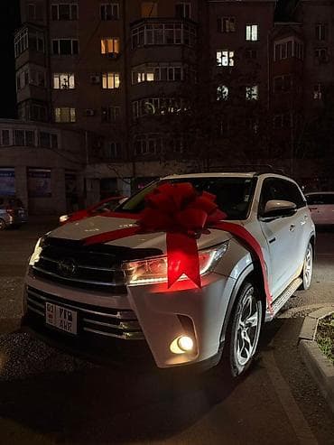 майрам: Большие праздничные банты для автомобилей - Яркие красные банты для — 2