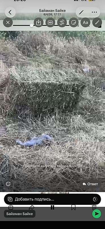 кошка маленкая: Тюк разнотравье 120 шт плотные стандартные тюки!!! с. Кайырма с — 2