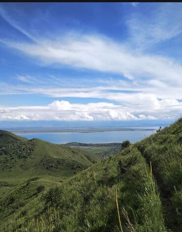 ипотечный дом: 37 соток, Для бизнеса, Договор купли-продажи — 4