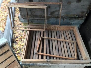 сауна кыз: Жыгач Ящик — 4