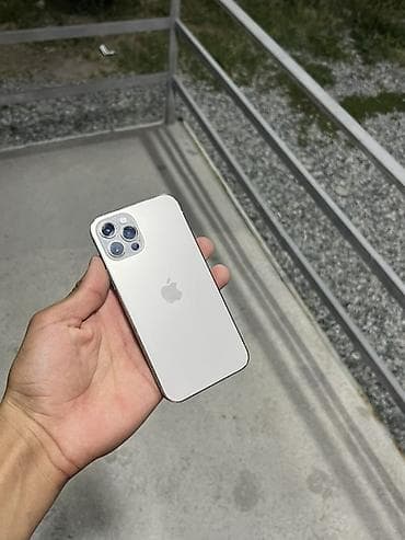 apple iphone 12 mini: IPhone 12 Pro, Серебристый — 10