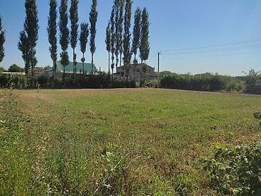 выход к реке: 5 соток, Для бизнеса, Красная книга — 3