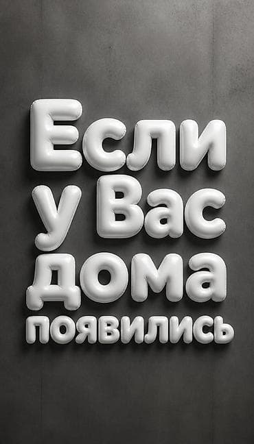 Услуги: 🎬 Монтаж Reels и TikTok для бизнеса. 🖥 Реклама для LED-экранов. 🤖 — 5