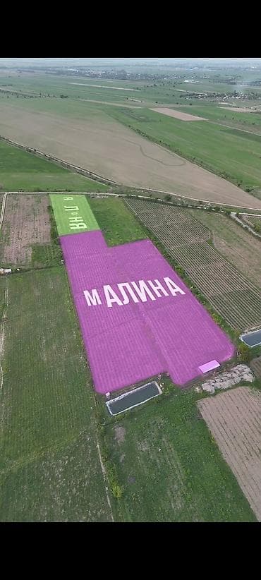 Продажа сельхоз предприятий: 2500 соток, Для сельского хозяйства, Красная книга — 2