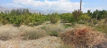 строим дом: 15 соток, Для бизнеса, Красная книга — 6