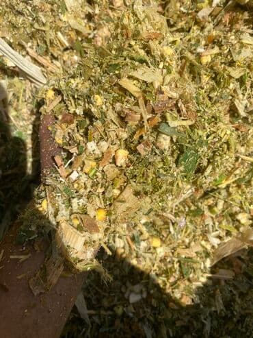 malina.kg продажа малины оптом в бишкеке новопокровка фото: Силос представляет собой высококачественный корм, изготовленный из — 2