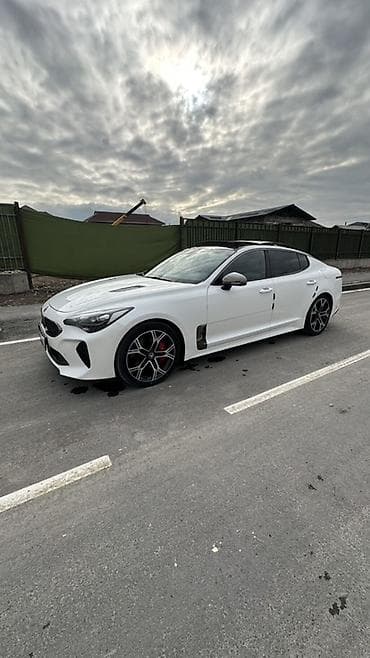 наклейки на авто: Kia Stinger: 2018 г., Бензин, Фастбек — 3