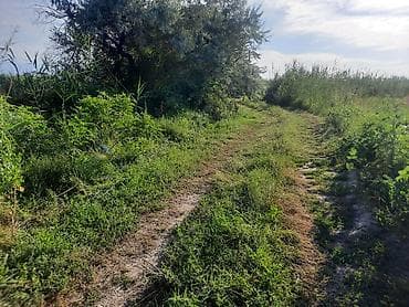 Недвижимость: 5 соток, Для сельского хозяйства — 2