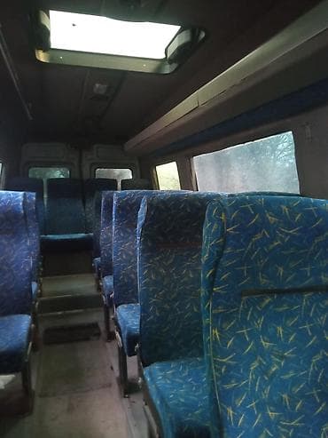 спринтер двухместный: Автобус, Iveco, 2011 г., 3 л, 16-21 мест — 4