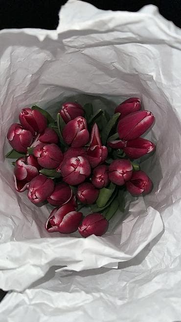 бумага для букетов: Букеты тюльпанов - Срезанные тюльпаны в крафтовой и белой бумаге — 3