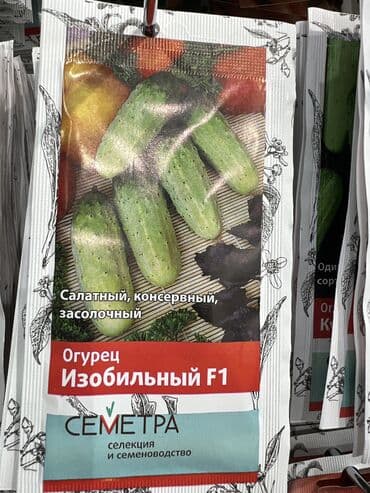 картофель семена: Уруктар жашылчалардын: Сабиз, Бадыраңдар, Капуста, Өзү алып кетүү, Акылуу жеткирүү — 3