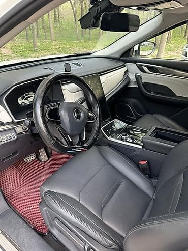 s7 fe: Weltmeister EX5, 2020 г., Передний, В наличии — 7