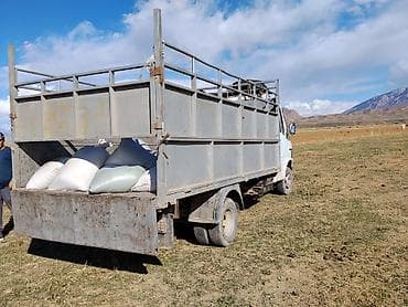 мотоцикл эндуро детский: Грузовик, Mercedes-Benz, Стандарт, 4 т, Б/у — 6