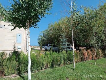 дачи на иссык куле: Коттедж, ASIAPALAC ЦО Карвен 4 сезона, Сары-Ой, Детская площадка, Парковка, стоянка, Охраняемая территория — 15